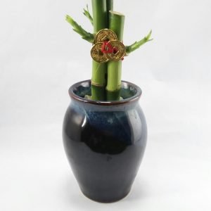 Bambu 3 varas vasija ceramica| 11cm