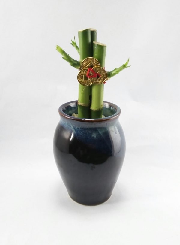 Bambu 3 varas vasija ceramica| 11cm