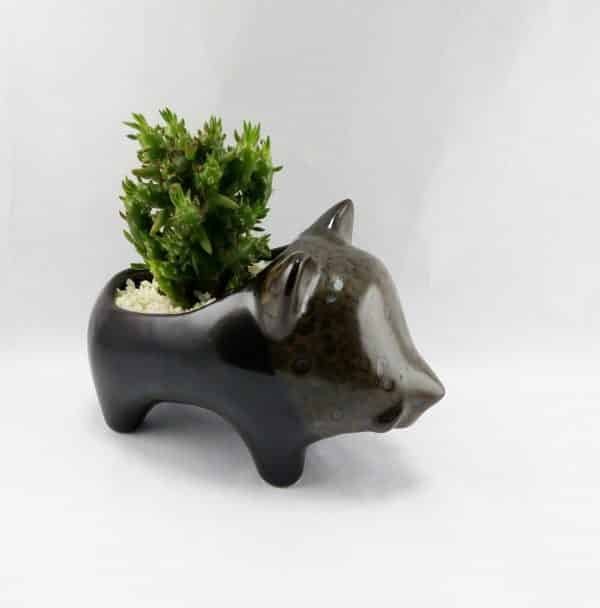 Jabali ceramica + suculenta | 10cm - Imagen 2