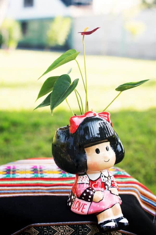 Anturio Rojo Enano + Maceta Mafalda Love | 25 cm - Imagen 3
