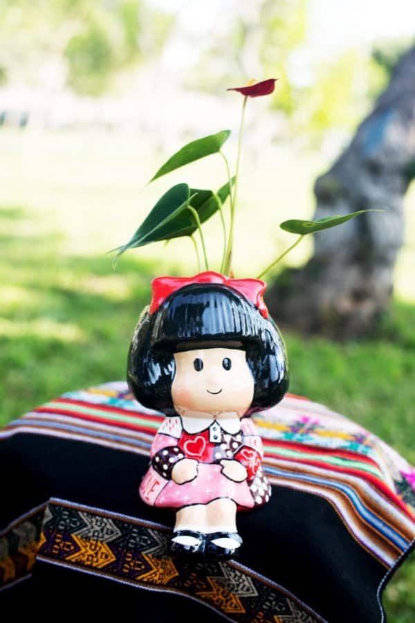 Anturio Rojo Enano + Maceta Mafalda Love | 25 cm - Imagen 2