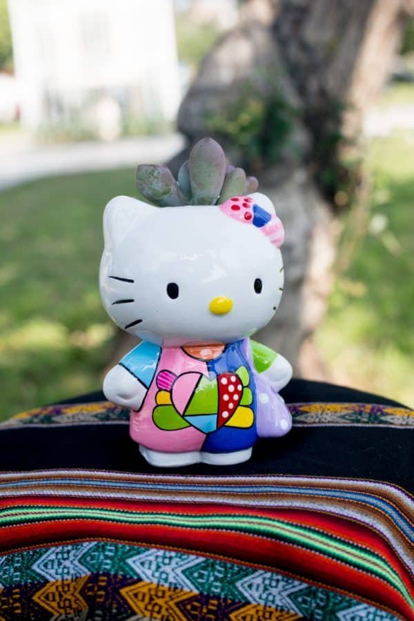 Suculenta + Maceta Hello kitty con Cartera| 19 cm - Imagen 3