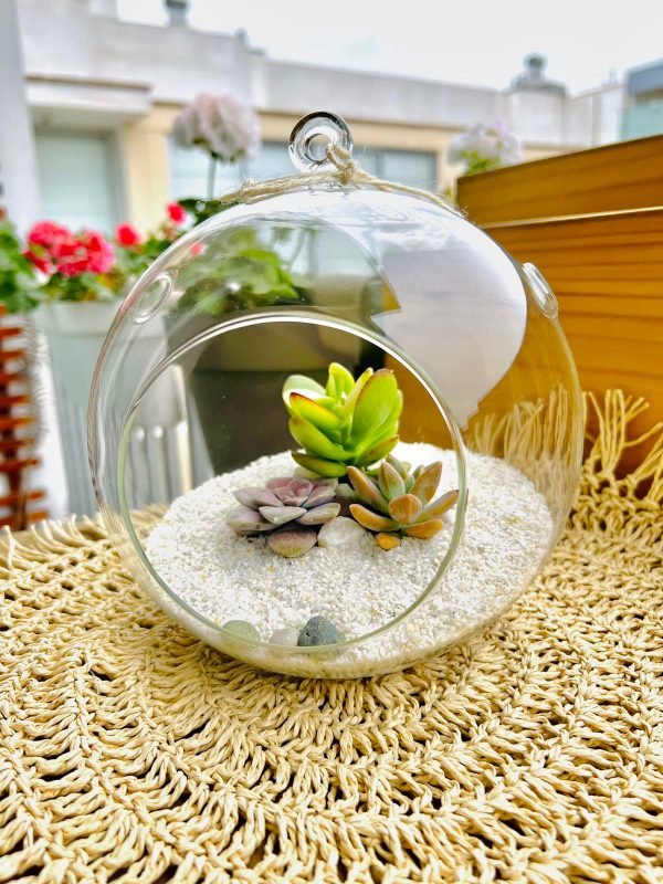 Terrario Tropical Berna Grande | 20,5 cm - Imagen 3