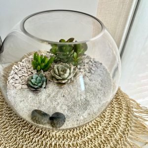 Alternative view of Terrario Tropical Catalina | 21,5cm