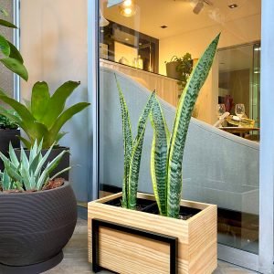 Alternative view of Portamaceta Rectangular | 26cm