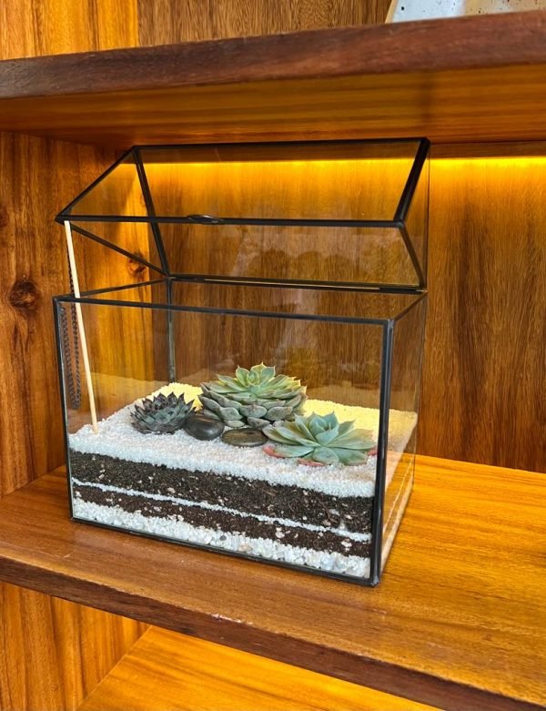 Terrario Tropical Greenhouse - Imagen 2