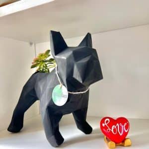 Alternative view of Suculenta + Maceta Pet Friendly Frenchie | 28cm