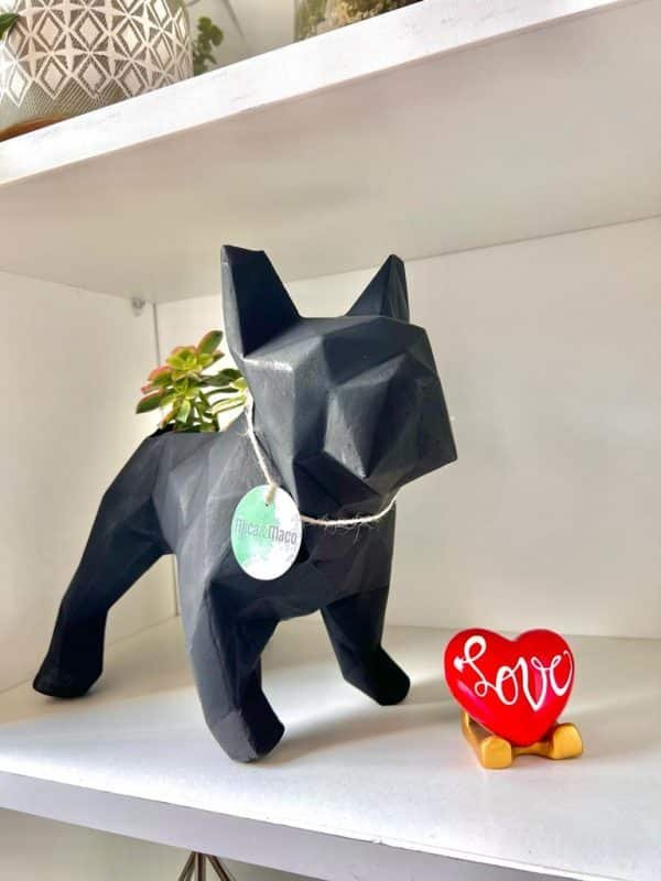 Suculenta + Maceta Pet Friendly Frenchie | 28cm - Imagen 2