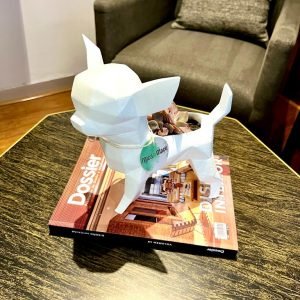 Suculenta + Maceta Pet Friendly Chihuahua | 25cm