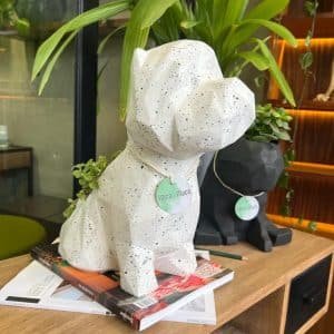 Suculenta + Maceta Pet Friendly Westie | 35cm
