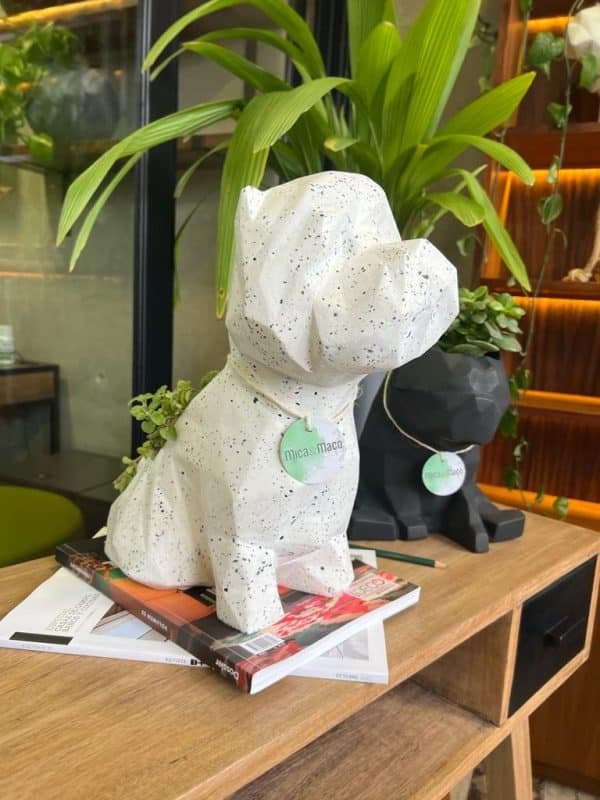 Suculenta + Maceta Pet Friendly Westie | 35cm