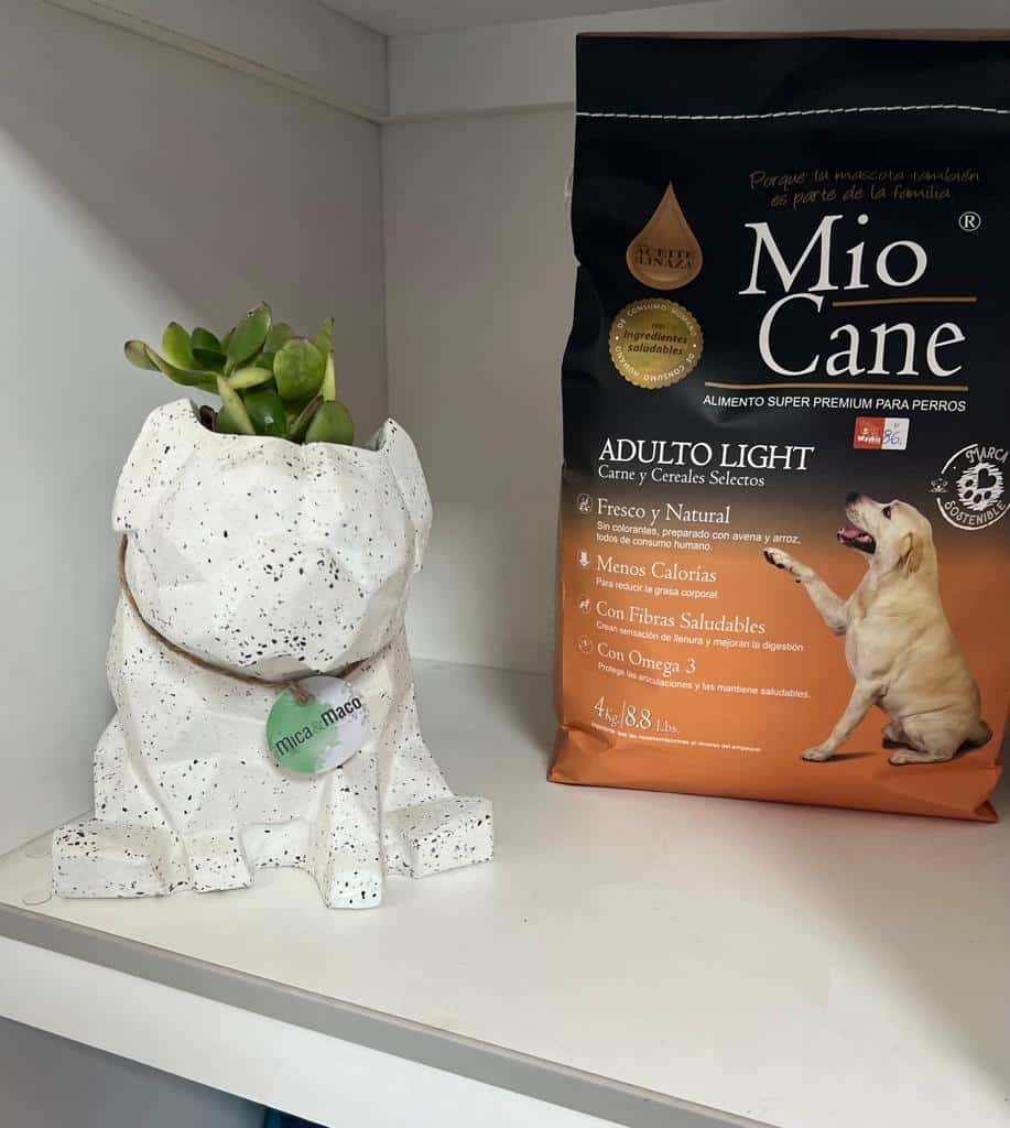 Maceta Pet Friendly Pug + Suculenta 25cm - Imagen 3