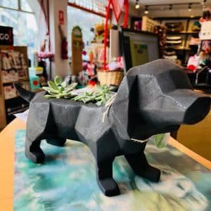 Alternative view of Suculenta + Maceta Pet Friendly Salchicha | 24cm