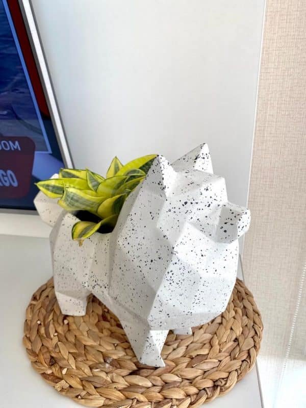 Suculenta + Maceta Pet Friendly Pomeranian| 25cm