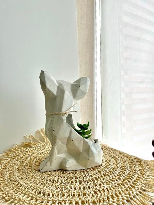 Suculenta + Maceta Pet Friendly Yorkie | 19cm - Imagen 2