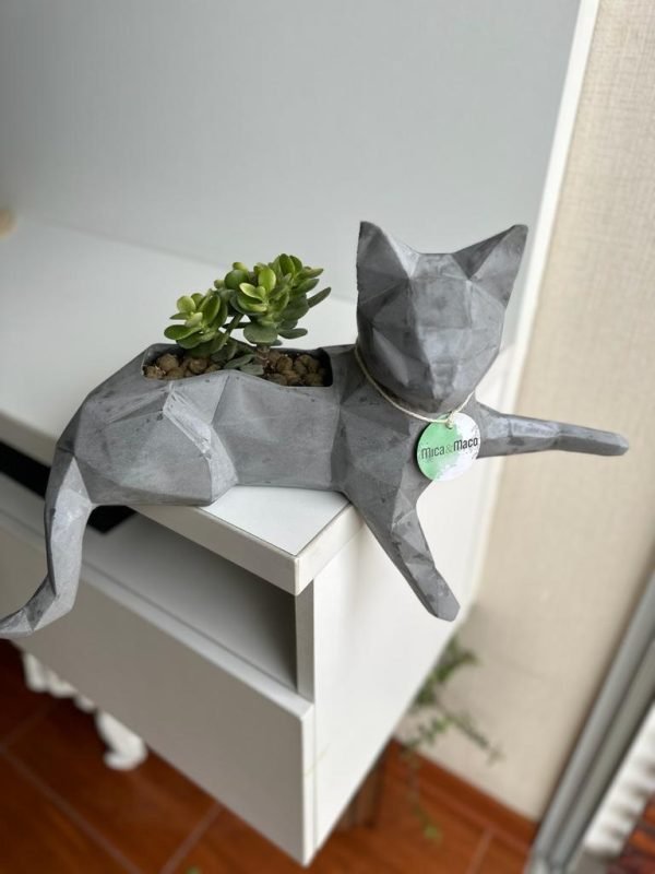 Suculenta + Maceta Pet Friendly Minino | 21cm - Imagen 6