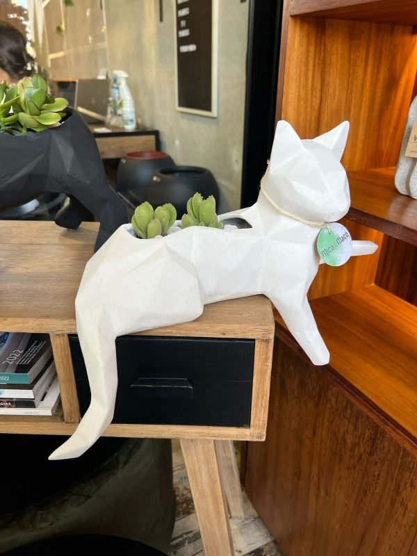 Suculenta + Maceta Pet Friendly Minino | 21cm - Imagen 5