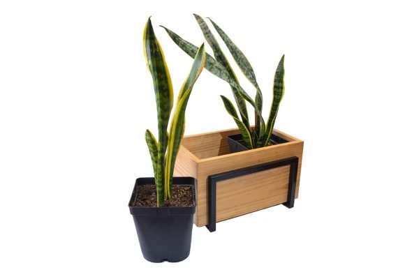 Portamaceta Rectangular | 26cm - Imagen 6