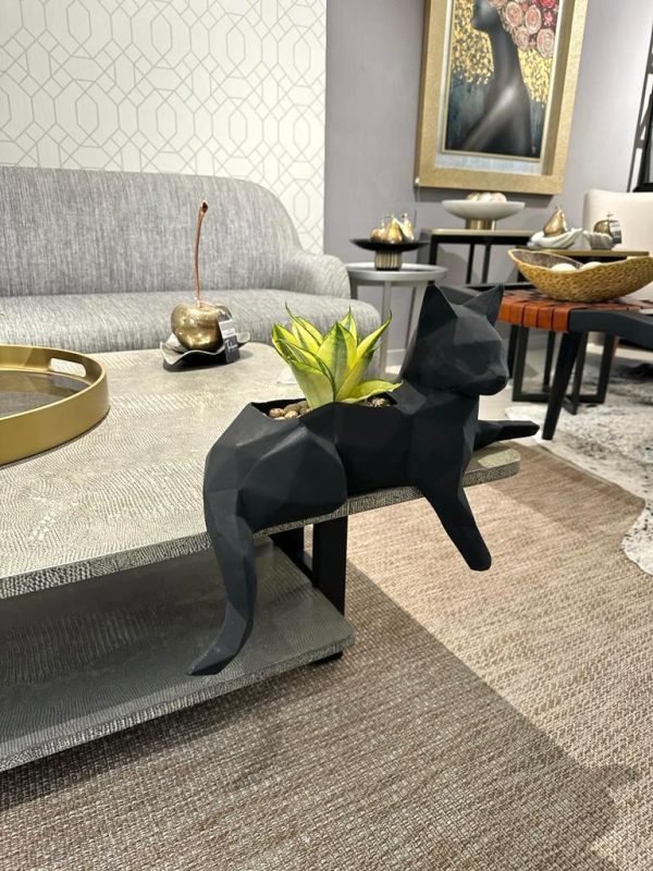 Suculenta + Maceta Pet Friendly Minino | 21cm - Imagen 4