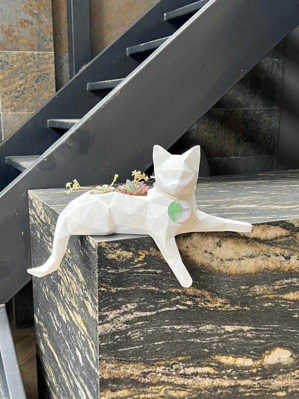 Suculenta + Maceta Pet Friendly Minino | 21cm - Imagen 7