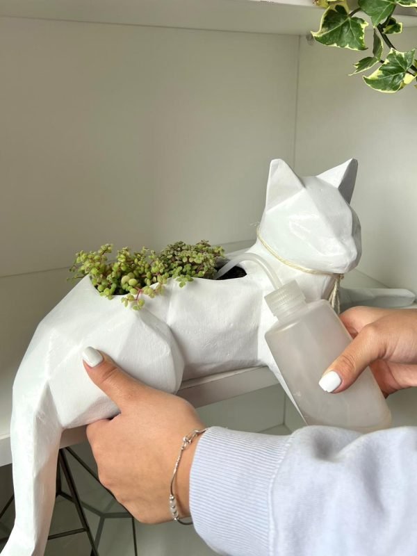 Suculenta + Maceta Pet Friendly Minino | 21cm - Imagen 9