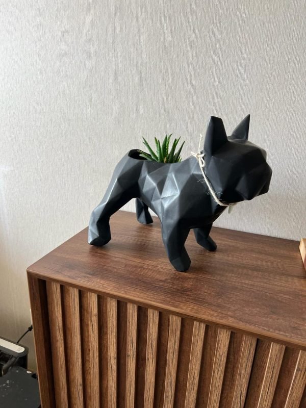 Suculenta + Maceta Pet Friendly Frenchie | 28cm - Imagen 6