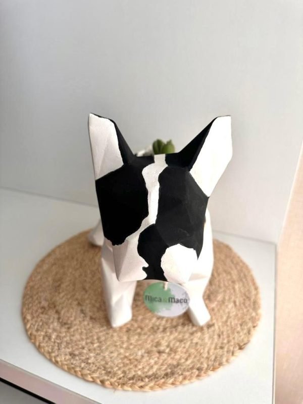 Suculenta + Maceta Pet Friendly Frenchie | 28cm - Imagen 4