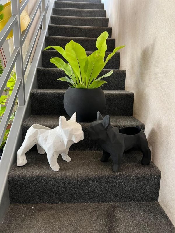 Suculenta + Maceta Pet Friendly Frenchie | 28cm - Imagen 3