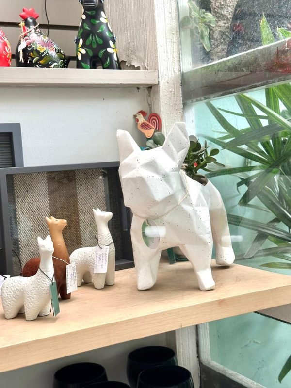 Suculenta + Maceta Pet Friendly Frenchie | 28cm - Imagen 8