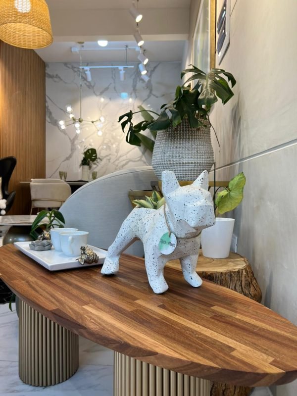 Suculenta + Maceta Pet Friendly Frenchie | 28cm - Imagen 7
