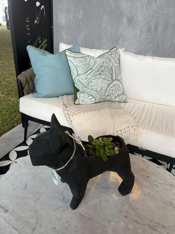 Suculenta + Maceta Pet Friendly Frenchie | 28cm - Imagen 9