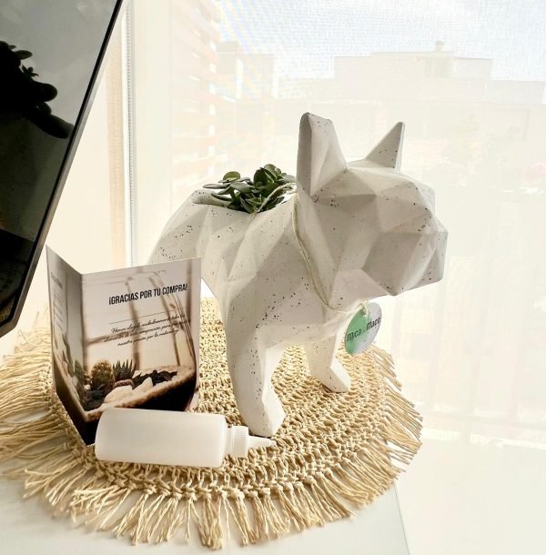 Suculenta + Maceta Pet Friendly Frenchie | 28cm