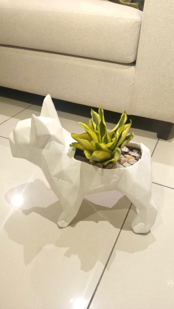 Suculenta + Maceta Pet Friendly Frenchie | 28cm - Imagen 11