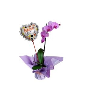 Orquídea 10 |30cm
