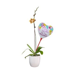 Orquídea 2 | 30cm