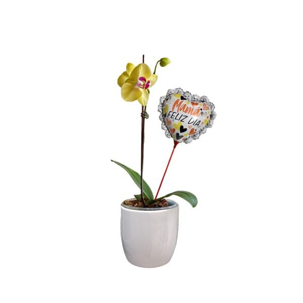 Orquídea 3 | 30cm