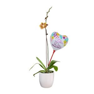 Orquídea 4 | 30cm