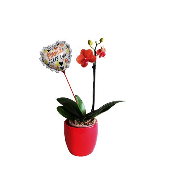 Orquídea 5 | 30cm