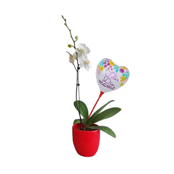 Orquídea 6 | 30cm
