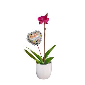 Orquídea 9 | 30cm