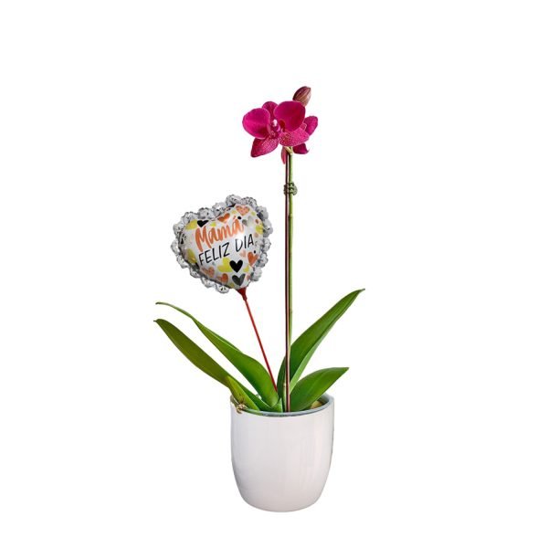 Orquídea 9 | 30cm