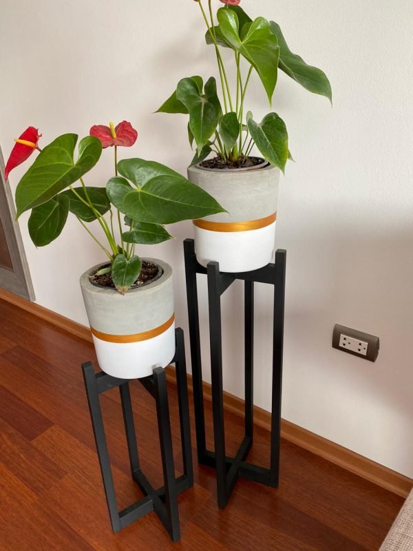 JUEGO ELISEOS (Planta anturio + maceta concreto + parante) | 110 cm