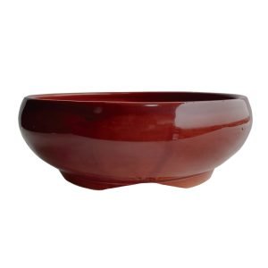 Maceta Bonsai Modelo RG2 Cactus Suculentas | Diámetro 13 cm