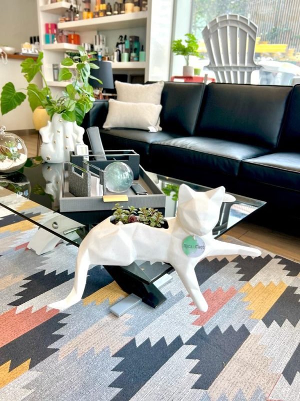 Suculenta + Maceta Pet Friendly Minino | 21cm - Imagen 2