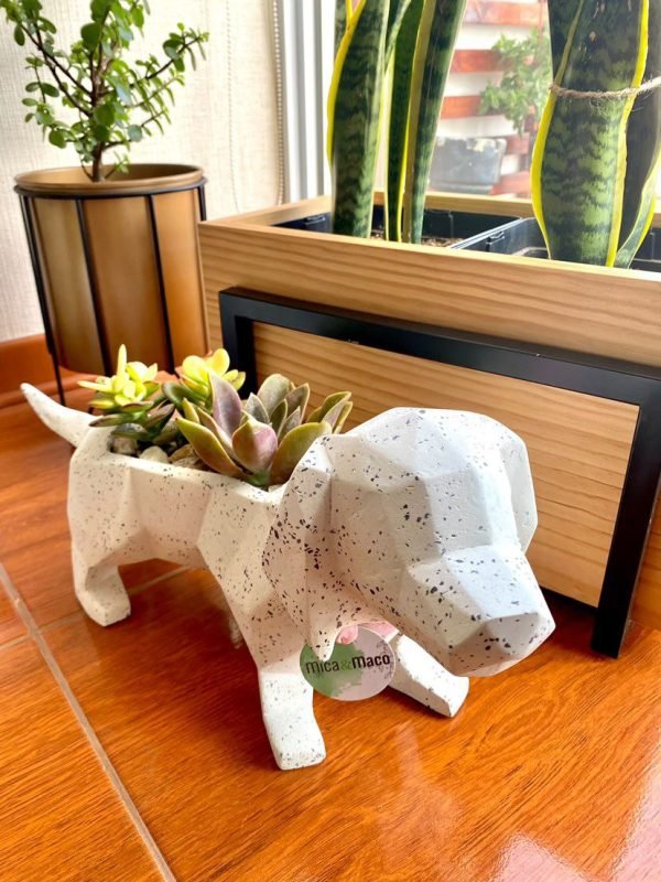 Suculenta + Maceta Pet Friendly Salchicha | 24cm