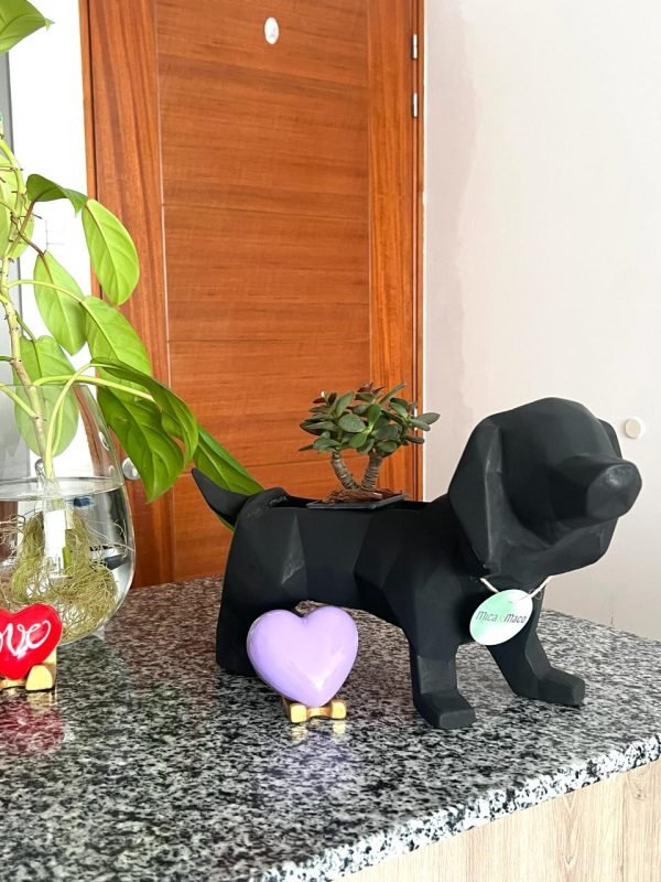 Suculenta + Maceta Pet Friendly Salchicha | 24cm - Imagen 6