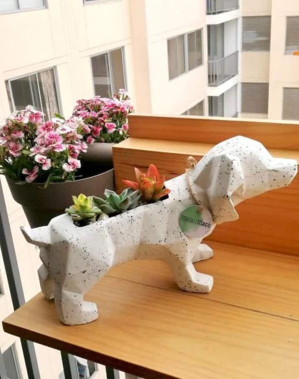 Suculenta + Maceta Pet Friendly Salchicha | 24cm - Imagen 3