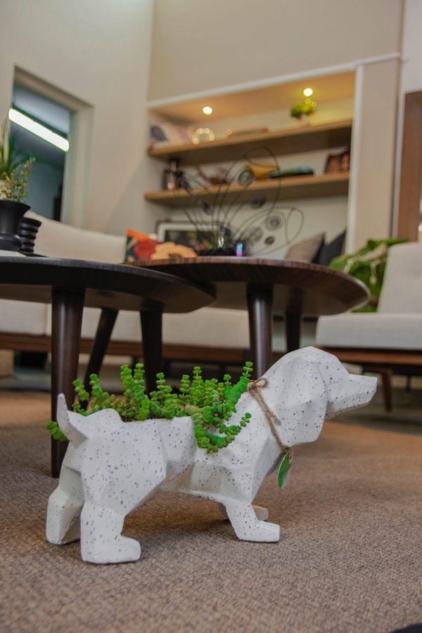 Suculenta + Maceta Pet Friendly Salchicha | 24cm - Imagen 8
