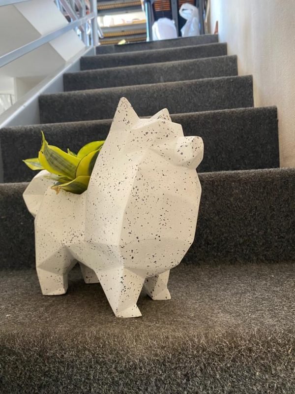 Suculenta + Maceta Pet Friendly Pomeranian| 25cm - Imagen 4