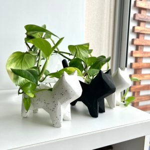 Suculenta + Maceta Pet Mini Gatito
